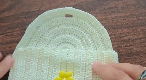 Beginner crochet pouch with button closure
